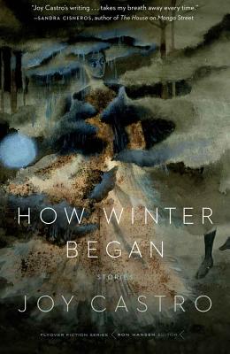 Image for How Winter Began: Stories (Flyover Fiction)