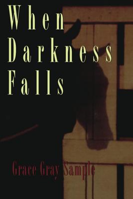 When Darkness Falls (Avalon Mystery)