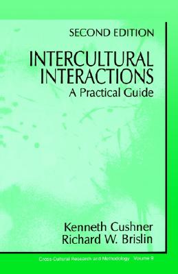 Intercultural Interactions: A Practical Guide (Cross Cultural Research and Methodology)