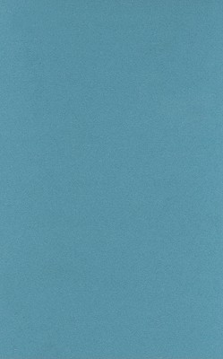 Rediscovering Aesthetics: Transdisciplinary Voices from Art History, Philosophy, and Art Practice (Cultural Memory in the Present)