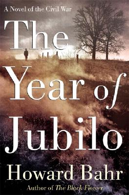 Image for The Year of Jubilo: A Novel of the Civil War