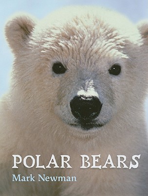 Image for Polar Bears Polar Bears