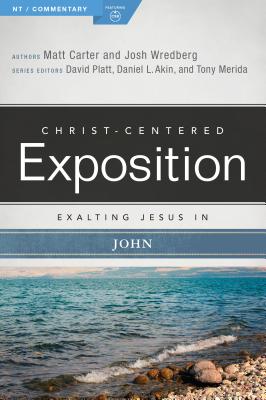 Image for Exalting Jesus in John (Christ-Centered Exposition Commentary)