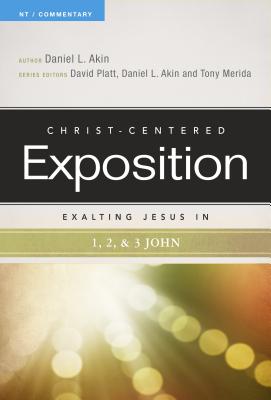 Image for Exalting Jesus in 1,2,3 John (Christ-Centered Exposition Commentary)