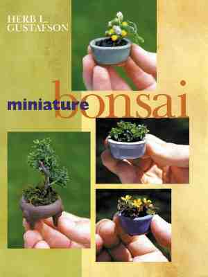 Miniature Bonsai