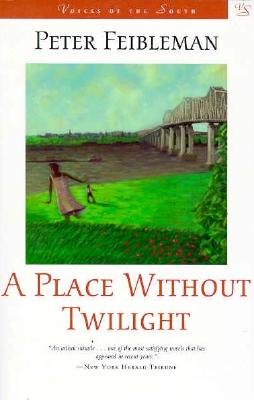 A Place Without Twilight (Voices of the South)