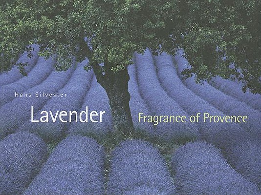 Lavender: Fragrance of Provence