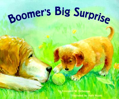 Boomer's Big Surprise (Boomer, BOOM)
