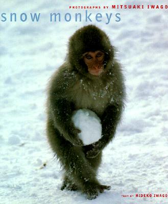 Snow Monkeys