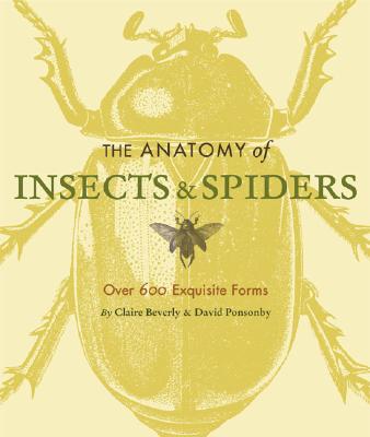 Anatomy of Insects & Spiders: Over 600 Exquisite Forms