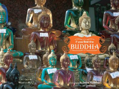 Image for If You Find the Buddha