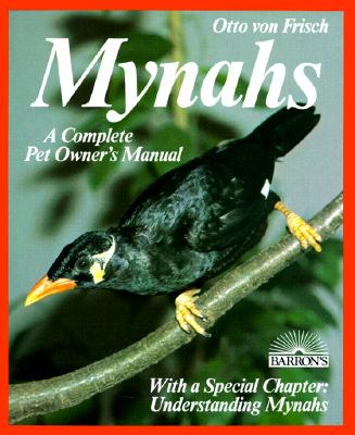 Mynahs: Everything About Purchase, Acclimation, Nutrition, and Diseases