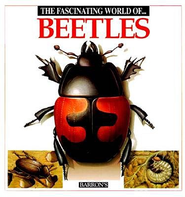 The Fascinating World of Beetles