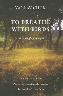 To Breathe with Birds: A Book of Landscapes (Penn Studies in Landscape Architecture)