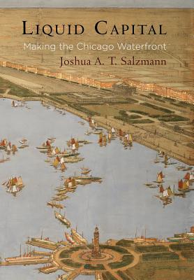 Liquid Capital: Making the Chicago Waterfront (American Business, Politics, and Society)