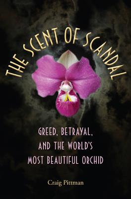 The Scent of Scandal