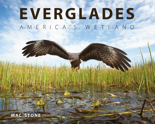 EVERGLADES: AMERICA'S WETLAND