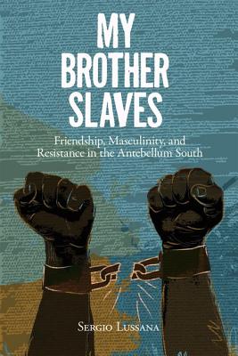 My Brother Slaves: Friendship, Masculinity, and Resistance in the Antebellum South (New Directions In Southern History)