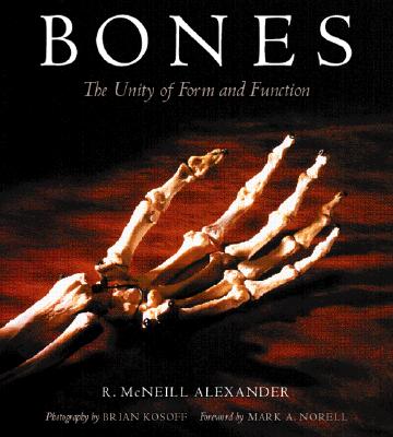 Bones: The Unity Of Form And Function