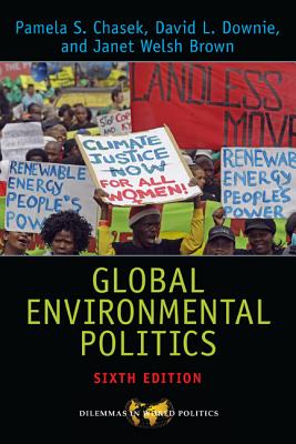 Global Environmental Politics (Dilemmas in World Politics)
