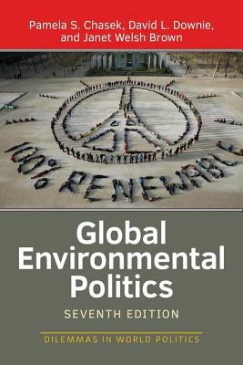 Global Environmental Politics (Dilemmas in World Politics)