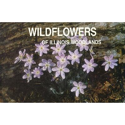 Wildflowers of Illinois Woodlands