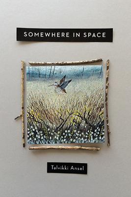 Somewhere in Space (OSU JOURNAL AWARD POETRY)