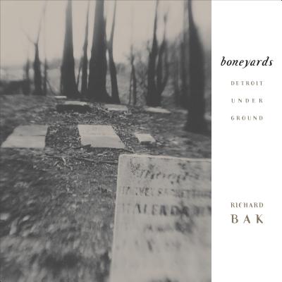 Boneyards: Detroit Under Ground (Painted Turtle)