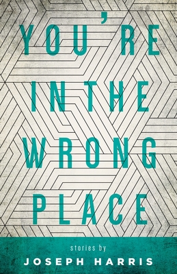 You're in the Wrong Place (Made in Michigan Writer Series)