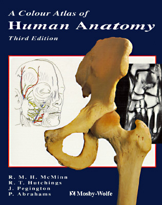 Image for A Colour Atlas of Human Anatomy (McMinn's Color Atlas of Human Anatomy) A Colour Atlas of Human Anatomy (McMinn's Color Atlas of Human Anatomy)