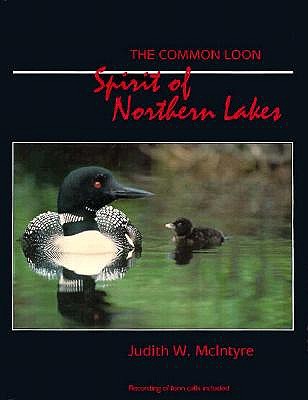 The Common Loon Spirit Of Northern Lakes