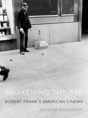 Image for Awakening the Eye: Robert Frank's American Cinema