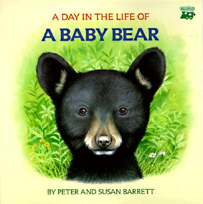 Image for A Day in the Life of a Baby Bear: The Cub's First Swim