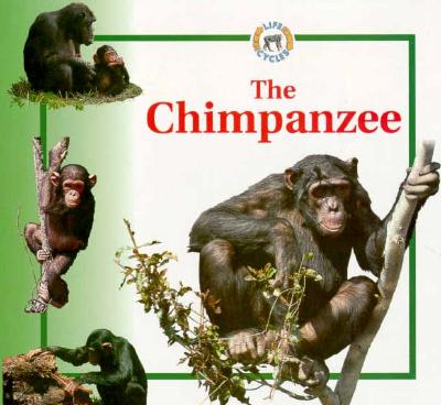 Image for The Chimpanzee (Life Cycles)