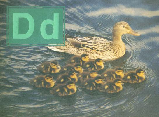 Phonic Readers Plus Level Dd: Student Reader (Steck-vaughn Phonic Readers Plus)