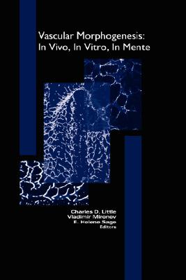 Vascular Morphogenesis: in Vivo, in Vitro, in Mente