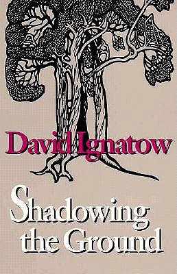 Shadowing the Ground