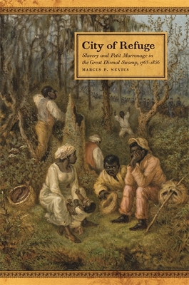City of Refuge: Slavery and Petit Marronage in the Great Dismal Swamp, 17631856 (Race in the Atlantic World, 17001900 Ser.)