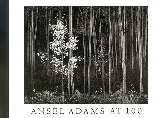 Image for Ansel Adams at 100 : A Postcard Folio Book
