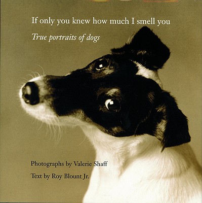 Image for If Only You Knew How Much I Smell You: True Portraits of Dogs