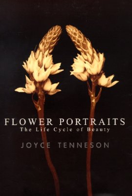 Flower Portraits: The Life Cycle of Beauty