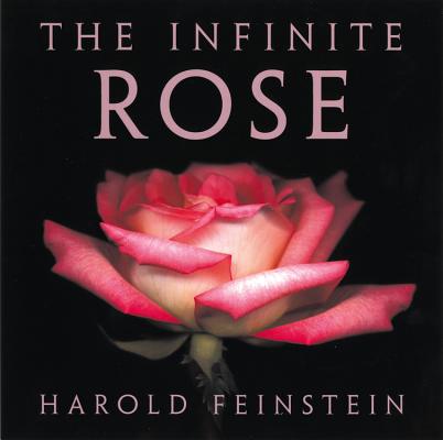 Infinite Rose