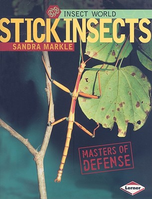 Stick Insects (Insect World)