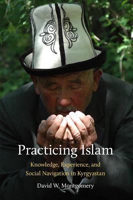 Practicing Islam: Knowledge, Experience, and Social Navigation in Kyrgyzstan (Central Eurasia in Context, 24)