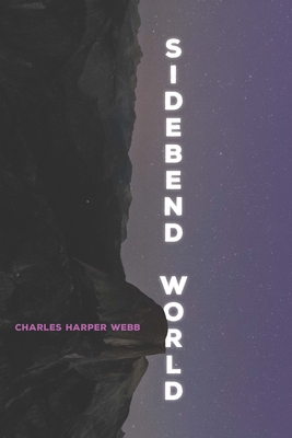Sidebend World (Pitt Poetry Series)