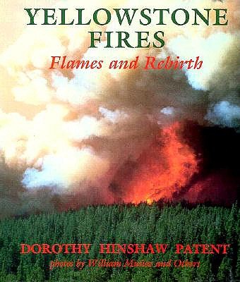 Yellowstone Fires : Flames and Rebirth