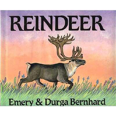 Reindeer