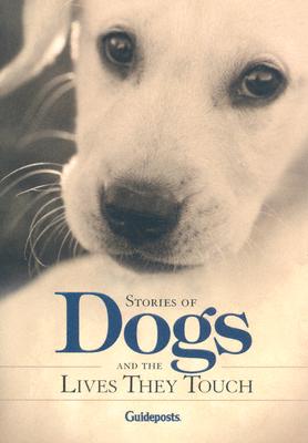 Image for Stories of Dogs and the Lives They Touch