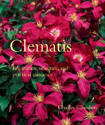 Clematis - Inspiration, Selection, And Practical Guidance
