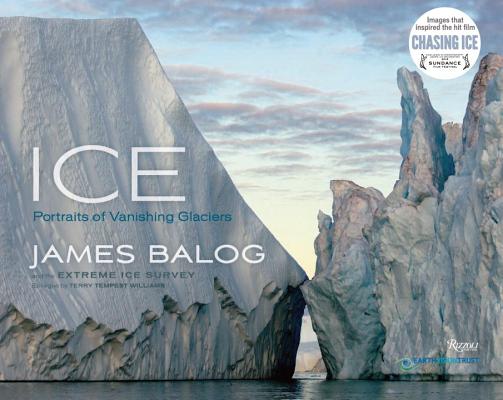 ICE PORTRAITS OF VANISHING GLACIERS